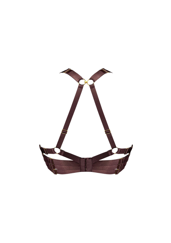 Signature Silk Push-Up Bra